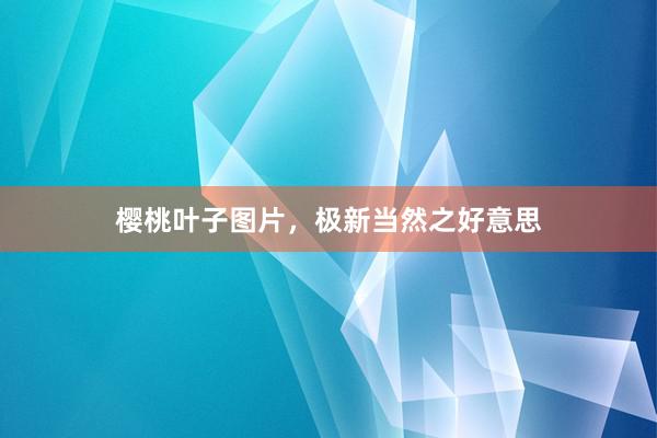 樱桃叶子图片,极新当然之好意思